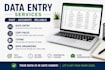 do fast and accurate data entry copy paste and typing work