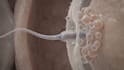 create 3d medical animation scientific animation and medical explainer video