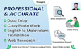 do professional data entry, copy paste and translation