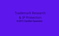 do trademark research and IP consultin