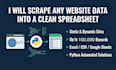 scrape any website data into a clean spreadsheet