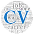 create a professional CV for international organizations