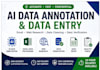 do ai data annotation, accurate data entry, excel and web research