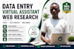 do fast and accurate data entry, web research and virtual assistant tasks