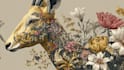 draw an animal and botanical illustration