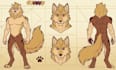 make furry reference sheet fursona ref sheet character design anthro ref sheet