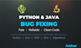 fix bugs in your python or java code