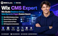 wix cms expert wix studio database setup velo dynamic pages custom search