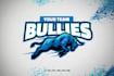 design creative high quality bull, buffalo logo