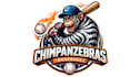 design high quality baseball mascot logo with express delivery