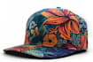 do bulk design snapback,hat and cap unique design