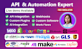 program a custom api integration or automation api developer