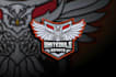 do make an excellent custom bird, owl logo