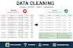do data cleaning, data formatting and excel data data cleanup