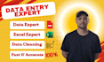 data entry, pdf to excel, copy paste and data cleaning