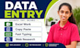 do accurate data entry, copy paste, excel and typing fast