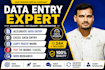 do accurate data entry, excel, copy paste, pdf to excel