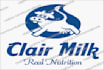 make logo for your company