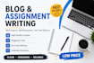 write blog posts, assignments and captions professionally