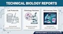 provide high quality technical biological summary