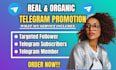 do telegram promotion, telegram group, telegram channel