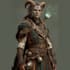 fantasy character and dnd character