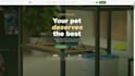 create a modern landing page for your business or startup