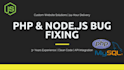 fix any PHP bugs or node js backend errors within 24 hours