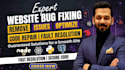 fix bugs and remove issues in your website