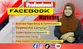 do professional facebook page setup and ads campaign