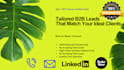 provide tailored b2b leads for your ideal clients custom and verified