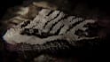 create a cinematic glitch topographic 3d logo animation