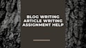 write professional assignments and blog posts