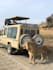 help you plan your tanzania trip with real local insight