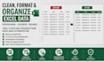 clean, format, and organize excel data professionally