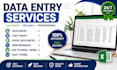 do data entry, web research, and copy paste in low price
