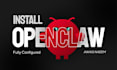 install and setup openclaw