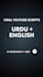write viral urdu and english youtube scripts