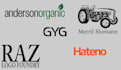 design a professional logo