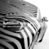 unlock surface design skills in autodesk alias