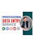 provide professional data entry and excel services
