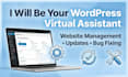 manage your wordpress website, fix issues and keep it updated
