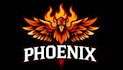 make an amazing phoenix bird mascot logo with express delivery