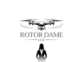 create a professional drone and uav logo design