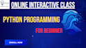 teach you python from basics