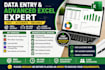 provide data entry and advance excel services