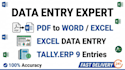 do expert pdf to word excel and tally erp 9 work
