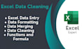 clean, format, merge, split and organize excel data
