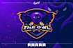 do modern high quality custom owl logo