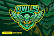 do modern professional high quality custom owl logo